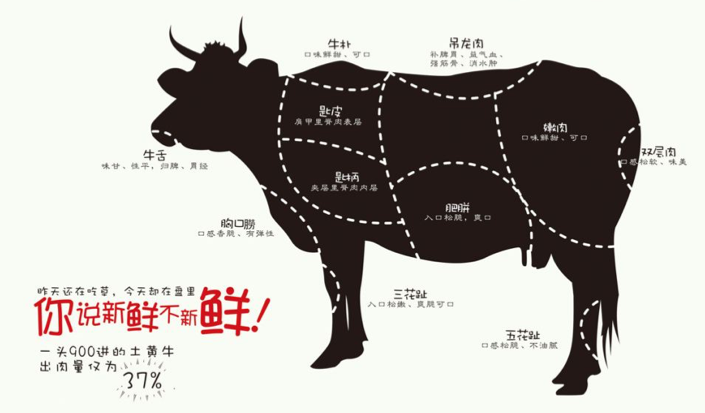 【品牌策劃公司】為牛肉產(chǎn)業(yè)品牌營(yíng)銷(xiāo)策略